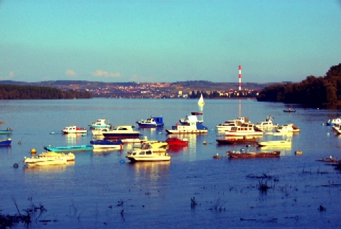 Čamci na Dunavu kod zemunskog keja; foto: A.K.
